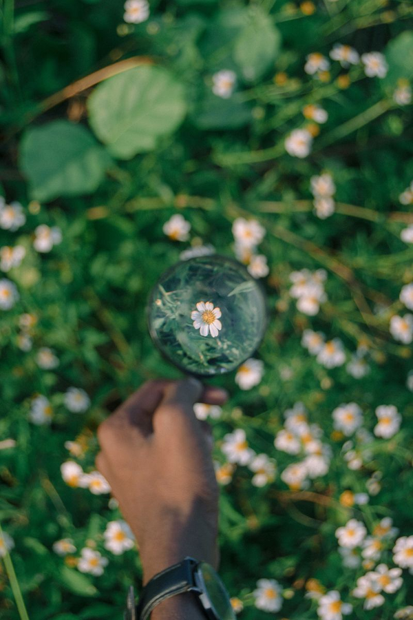 Sharpen Clarity