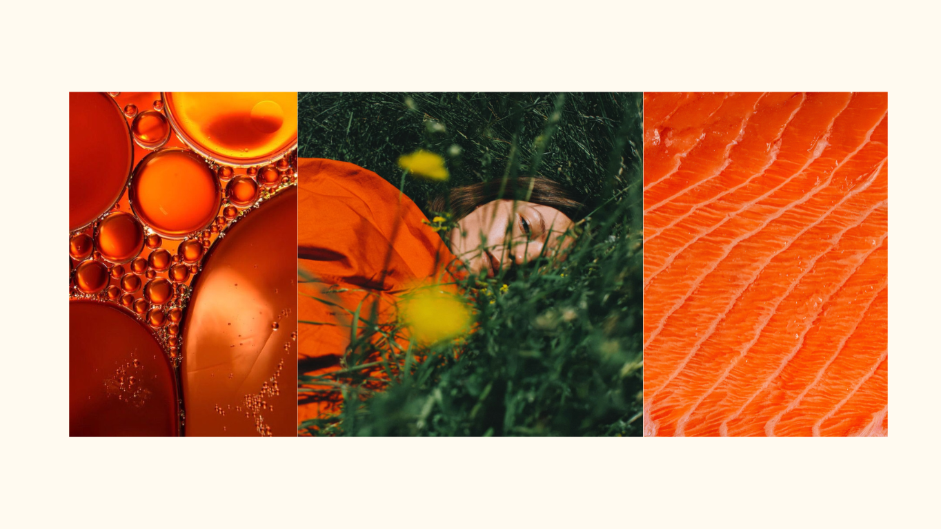 5 Ways Protein Affects Your Mental Health (and Why Bioavailability Matters More Than You Think)