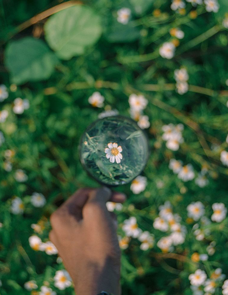 Sharper Clarity